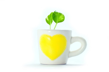 plants in cup of heart with white background.