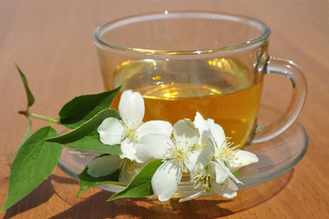 Obraz na płótnie Canvas cup with branch jasmine