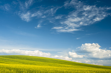 Horizon with yellow field