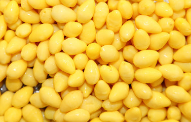 Gingko nuts (Ginkgo biloba) in Thailand