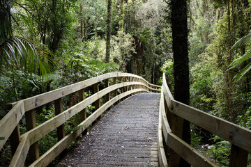 Boardwalk