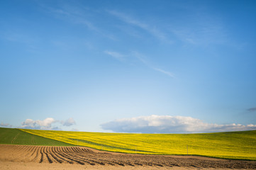 simple brown horizon