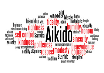 Web Art Design AIKIDO TAG CLOUD NUAGE MARTIAL ARTS  260
