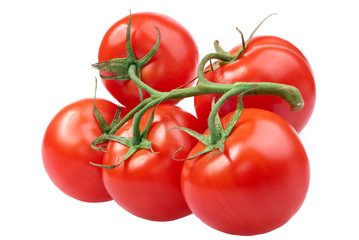 Closeup of tomatoes on the vine isolated on white