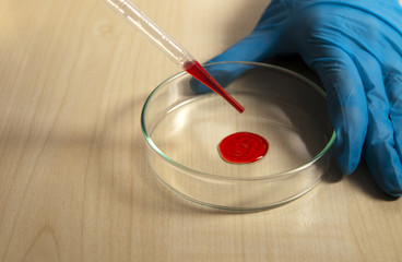Researcher doing a laboratory work by a pippette