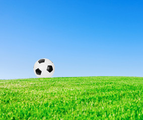 Soccer ball in meadow