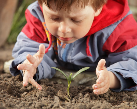 sprout in children hand