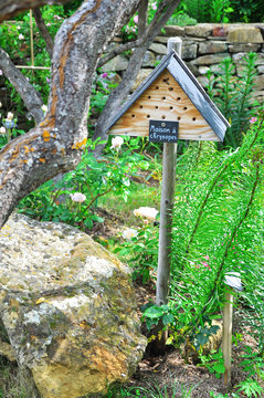maison &agrave; chrysopes