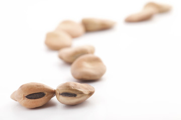 Broad beans (fava beans) on a white background, selective focus