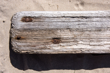 Wooden plank texture