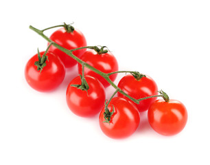 Beautiful cherry tomatoes on a branch isolated on white