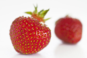 Erdbeeren