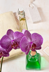 orchid in the bathroom