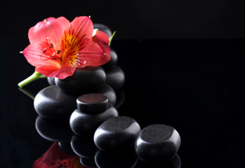 Obraz na płótnie Canvas Spa stones and red flower on black background