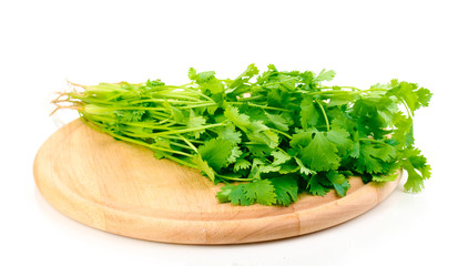 fresh coriander or cilantro on wooden board isolated on white