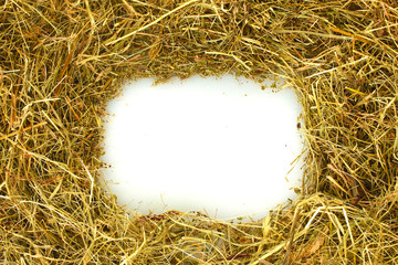 The frame of golden hay on white background