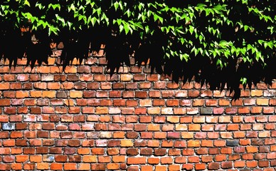 Naklejka premium Ściana z cegieł