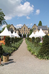 Die Ippenburg