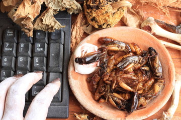 Halloween and computer