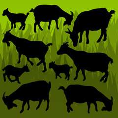 Farm dairy goats detailed silhouettes illustration collection ba