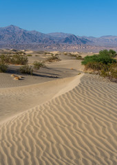 Sand Dunes in Death Valley