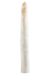 Raw white asparagus
