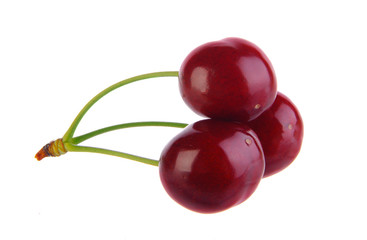 Sweet cherry isolated on white