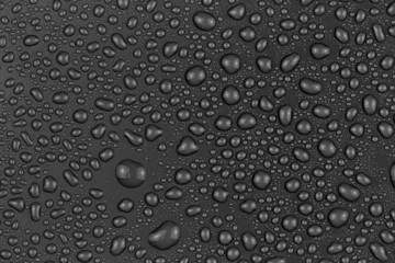 water drops on black