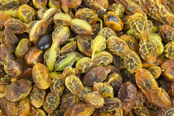 Dried sophora japonica  beans