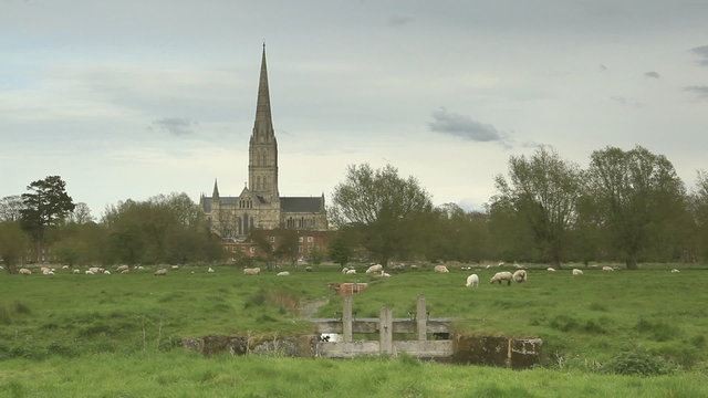 Salisbury cathedral and the west harnham water meadows.
