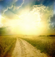 Fototapeta premium road