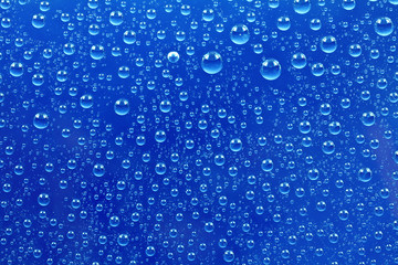 dark blue droplets