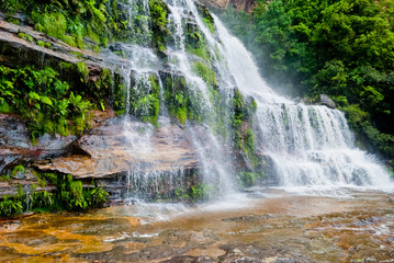 Obraz premium Waterfall, Blue Mountains National Park, NSW, Australia