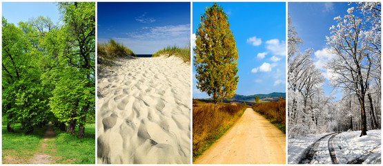 four seasons landscape
