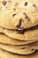 Fresh Chocolate Chip Cookies