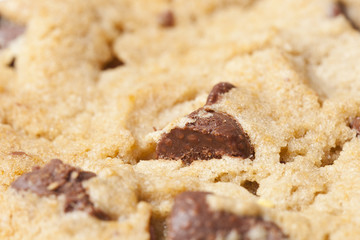 Fresh Chocolate Chip Cookies