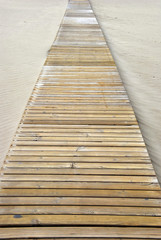 pathway on the beach