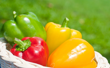fresh sweet  paprika in wood basket