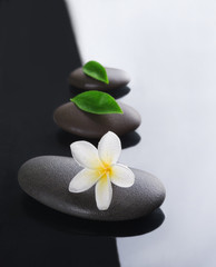 spa concept zen stones
