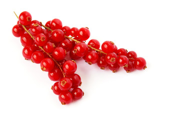 Red currants