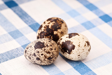 quail eggs on rustic cloth frame