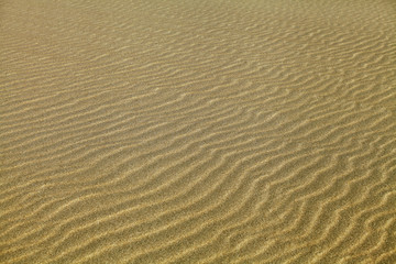 Rippled sand