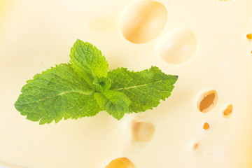 Cheese and mint leaves isolated on white background