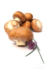 Champignons mit blühendem Schnittlauch