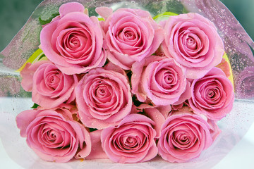 Roses