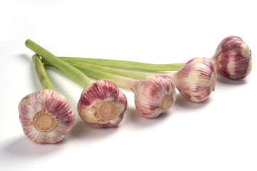Young garlic
