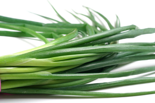 Chives