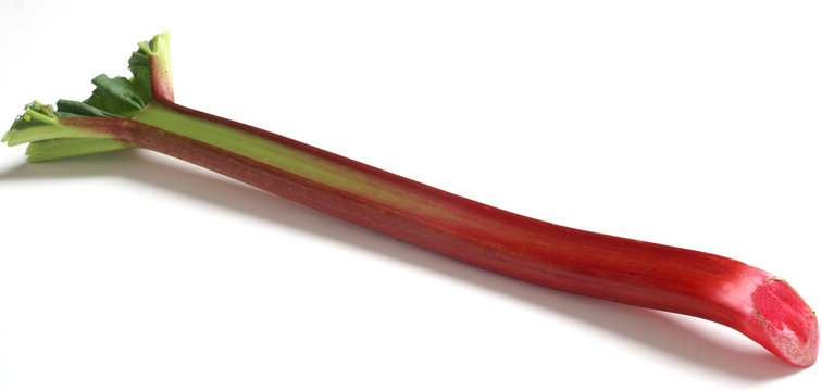 Rhubarb
