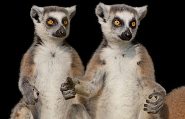 Jetzt noch ein Bier und die Fernbedienung