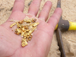 gold nuggets in hand